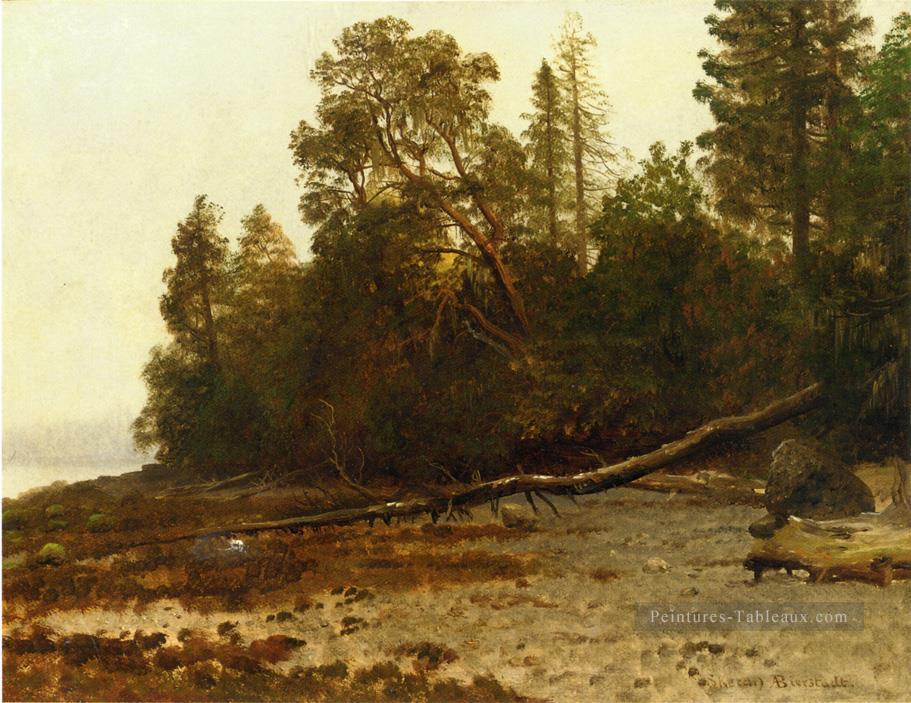 L’arbre tombé Albert Bierstadt Forêt Peintures à l'huile